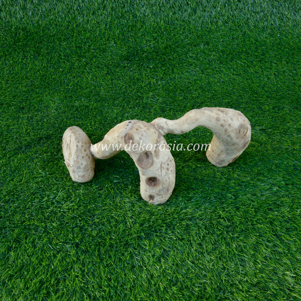 Bamboo Root (Size XS) for Jungle Gym, Vivariums Reptile, Aquarium, Aquascaping, Reptile Clean Bamboo Root Decor Craft